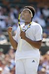 FM 2010 Wimbledon Jo Wilfried Tsonga fist