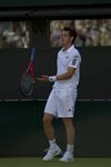 SM 2010 Wimbledon Andy Murray ready