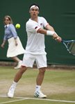 FM 2010 Wimbledon Fabio FOGNINI ball ahead
