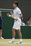 FM 2010 Wimbledon Novak Djokovic fist
