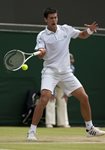 FM 2010 Wimbledon Novak Djokovic open forehand