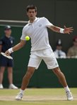 FM 2010 Wimbledon Novak Djokovic side forehand