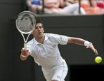 FM 2010 Wimbledon Novak Djokovic topspin forehand