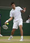 FM 2010 Wimbledon Novak Djokovic wristy forehand