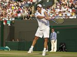 SM 2010 Wimbledon Andy Roddick backhand