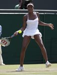 FM 2010 wimbledon Venus Williams forehand open
