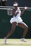 FM 2010 wimbledon Venus Williams skirt high forehand