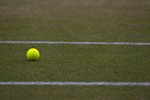 SM 2010 Wimbledon ball on grass