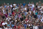 SM 2010 Wimbledon pointing crowd