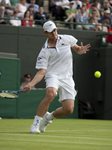 2010 Wimbledon Andy Roddick forehand drop