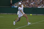 2010 Wimbledon Justine Henin run