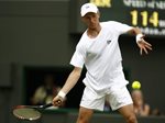 2010 Wimbledon Nikolay Davydenko forehand drop