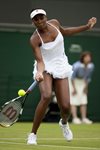 2010 Wimbledon Venus Williams hit  up