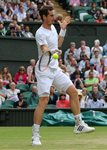 CS_7106_Wimbledon_D7_Andy_Murray_GBR