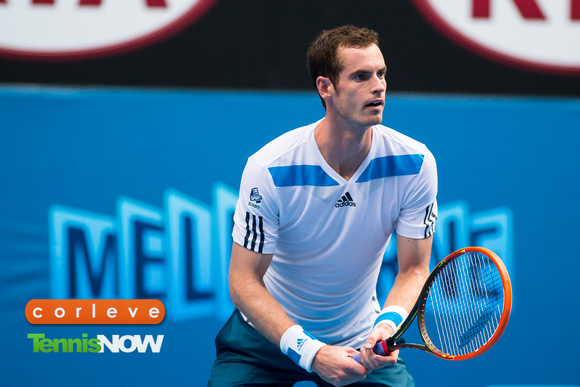 Andy Murray Focus Melbourne 2014