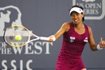 2010 Bank of the West Classic Kimiko Date Krumm big forehand