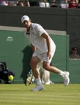 2010 Wimbledon Andy Roddick low ball