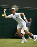 2010 Wimbledon Nikolay Davydenko forehand slice