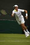 2010 Wimbledon Nikolay Davydenko lunge