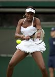 2010 Wimbledon Venus Williams backhand