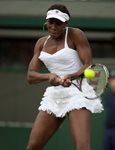 2010 Wimbledon Venus Williams contact backhand