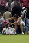 SM_2010 Wimbledon Jelena Jankovic sit