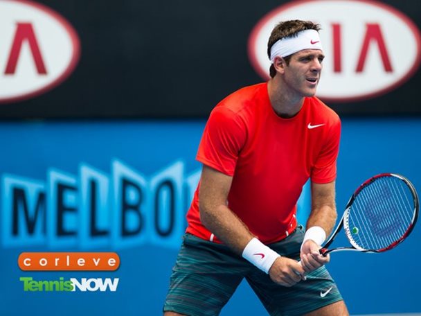 Del Potro Dropped by Bautista Agut in Late Night Upset