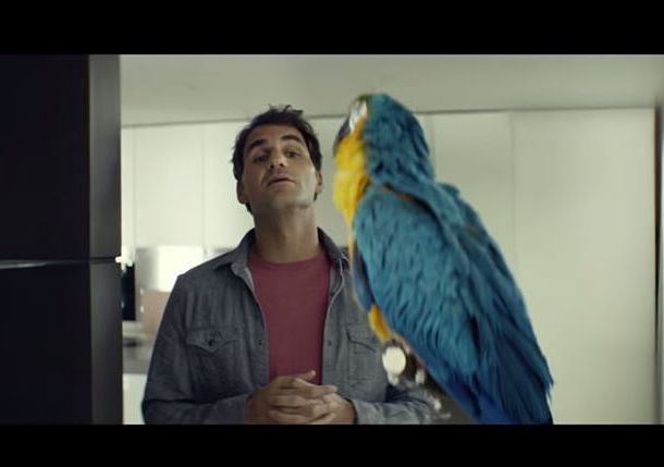 Video: Federer Teaches Parrot to Say His Name 