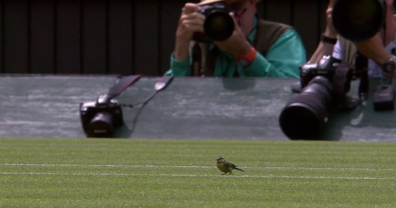 Video: A Bird's-Eye View of Djokovic's Wimbledon Opener 