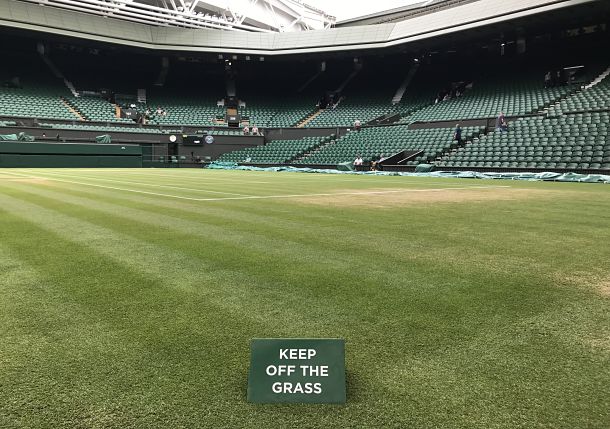 Wimbledon grass