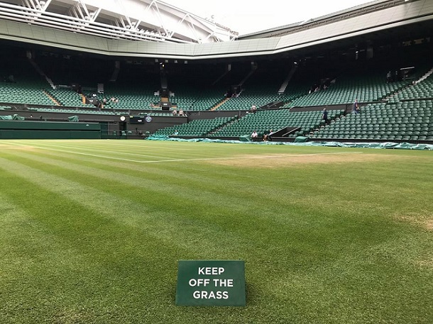 Season May Not Resume, Wimbledon Chief Says 