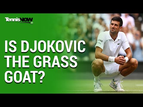 Is Novak Djokovic the Grass GOAT? 